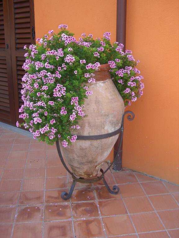 Il Casale Dei Conti Bed & Breakfast Barcellona-Pozzo di Gotto Exterior foto